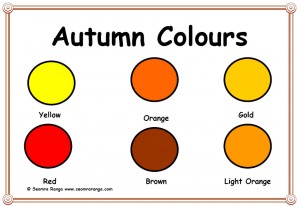 Autumn Colours