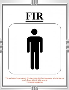 Toilet Signs