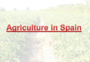 Agriculture in Spain