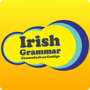 Irish Grammar App