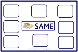 Same & Different Sorting 02