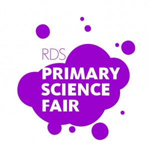 RDS Primary Science Fair 2016