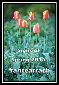 Signs of Spring 2016