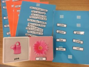 Using Infant Books For Literacy Activities