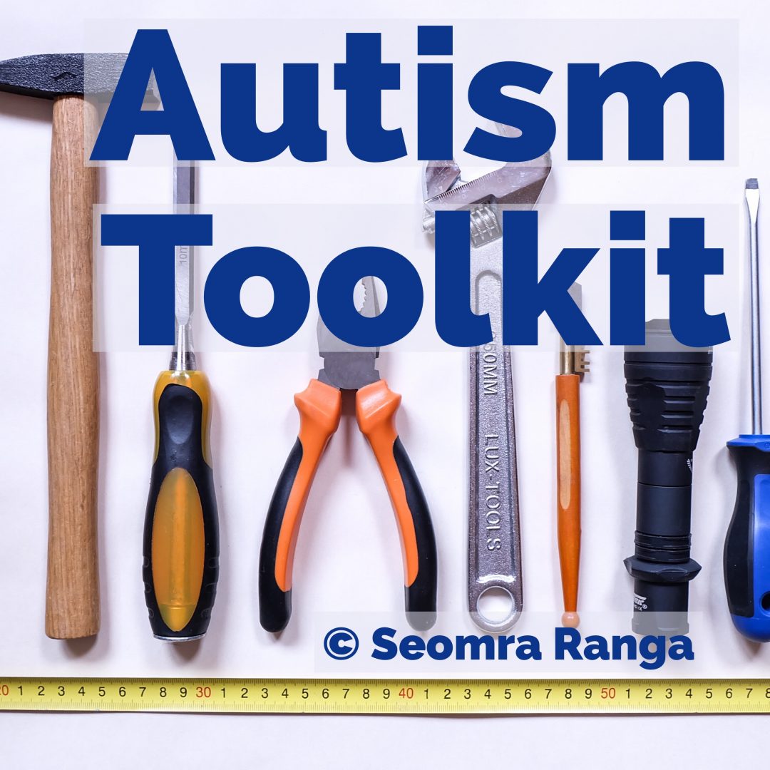 Autism Toolkit Seomra Ranga