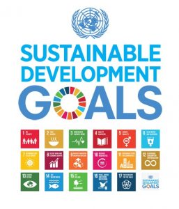 UNICEF Sustainable Development Goals Resources