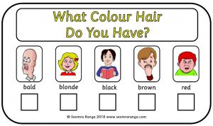 What Colour Hair?