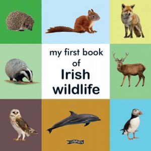 Book Review: My First Book of Irish Wildlife