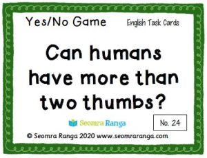 English Task Cards – Yes/No Game 03
