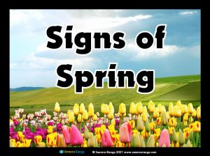 Signs of Spring Photo Pack