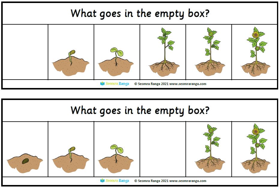 Growing a Seed Sequencing 01