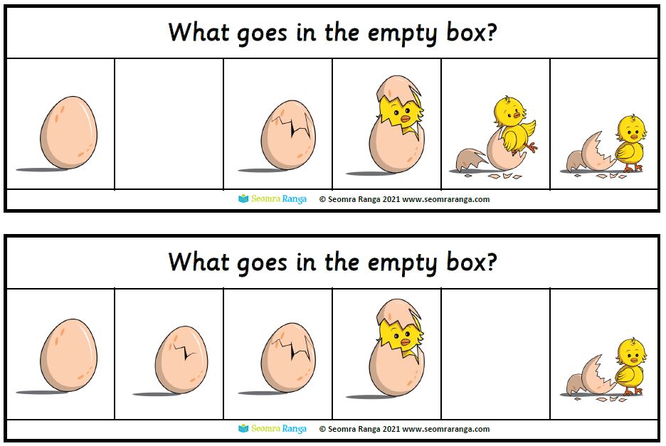 Hatching Chicken Sequencing 01