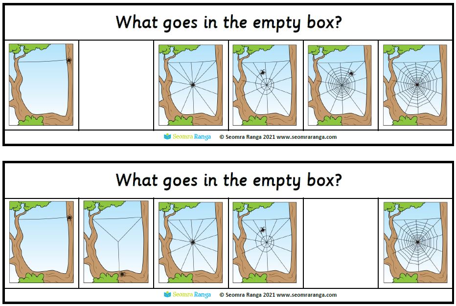 Spider Web Sequencing 01