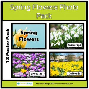 Spring Flowers Photo Pack