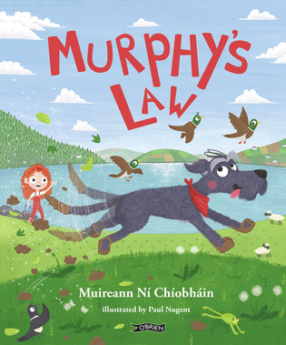 Book Review – Murphy’s Law