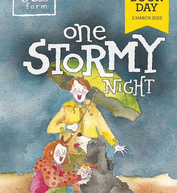 Book Review – One Stormy Night