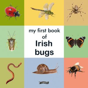Book Review – My First Book of Irish Bugs
