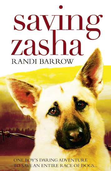 Saving Zasha – Novel Comprehension