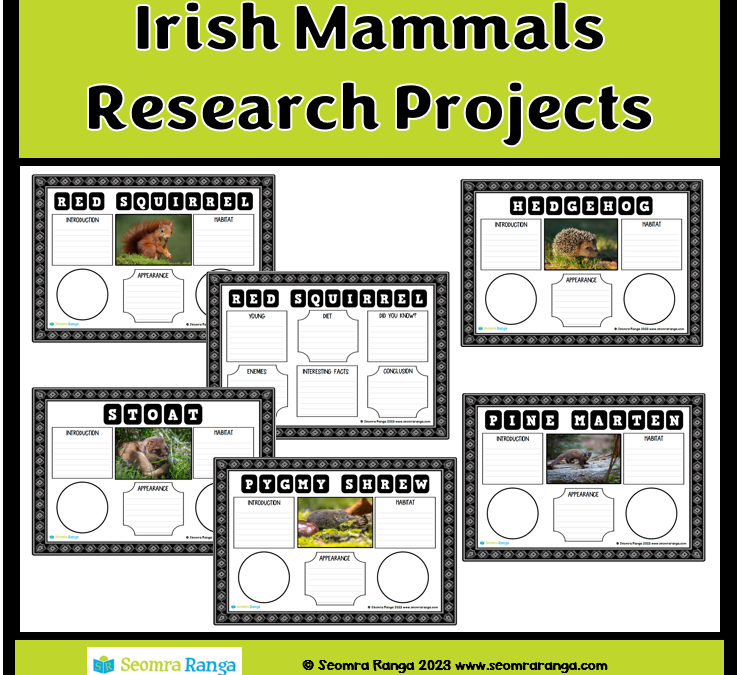 Irish Mammals Research Projects Templates