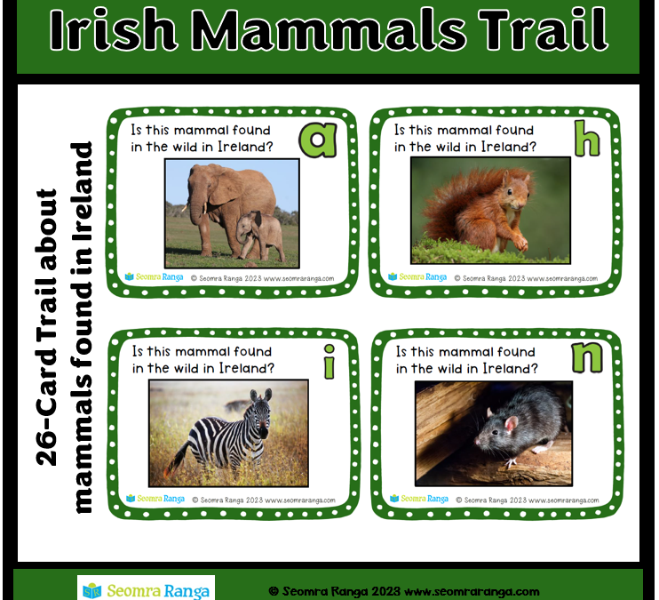 Irish Mammals Trail