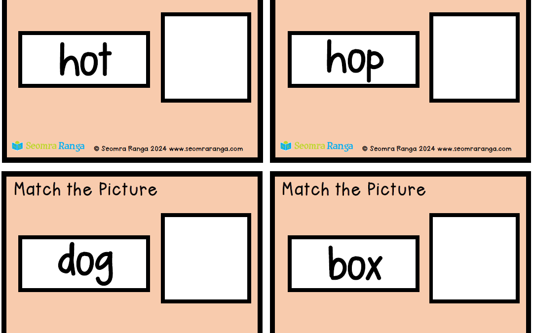 CVC Picture Matching 04