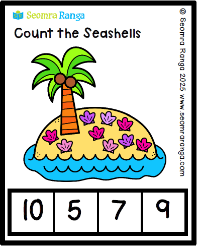 Counting Seashells
