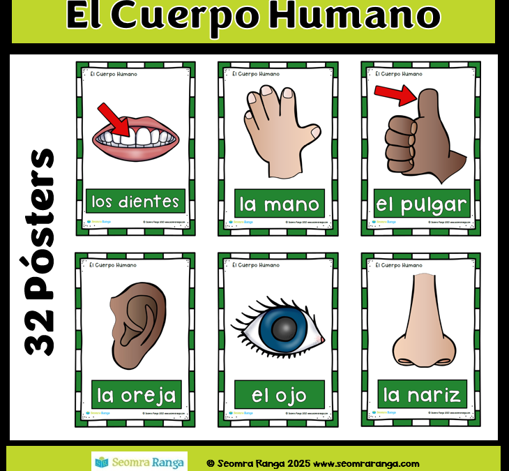 El Cuerpo Humano