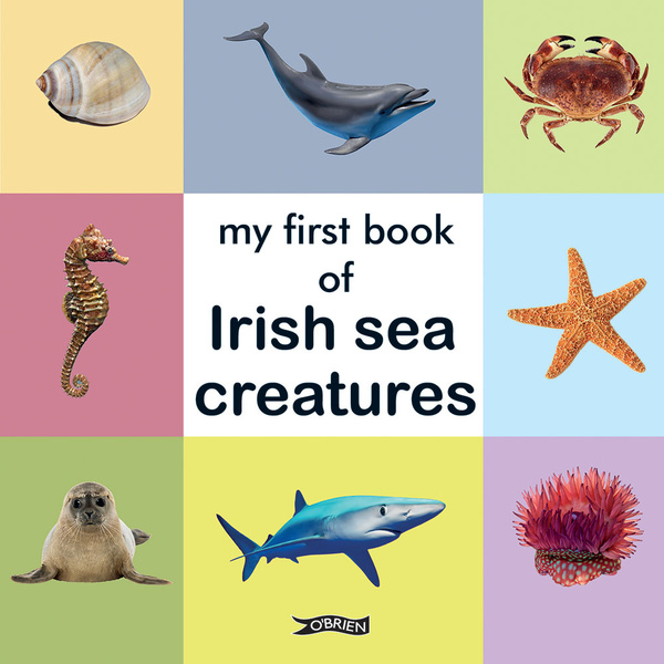Book Review – My First Book of Irish Sea Creatures